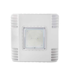 Canopy Light