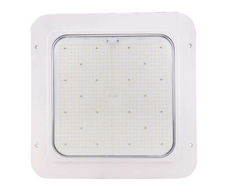 Ultra Slim Canopy Light