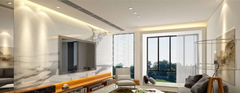 Downlight
